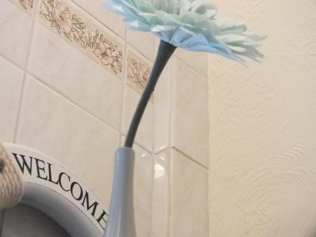 Leonardos Guest House Суонси Номер фото